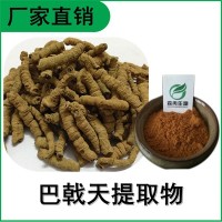 森冉生物 巴戟天提取物 鸡肠风提取物 比例提取原料粉