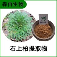 森冉生物 石上柏提取物 梭罗草提取物 比例提取原料粉